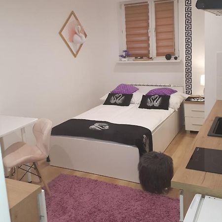 apartamenty centrum Panoramiczna mała dwójka SWAN ŁABĘDŹ PROMENADA Klimatyzacja lodowa Kielce Exterior foto